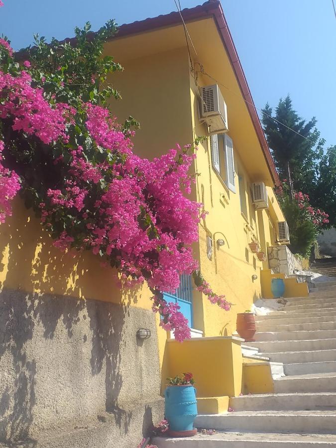Villa Eleni Vathy (Ithaca) Exterior foto